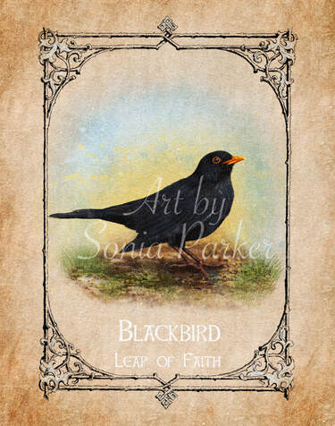 Blackbird, A card from the animal spirit oracle deck. The Spiritual Centre