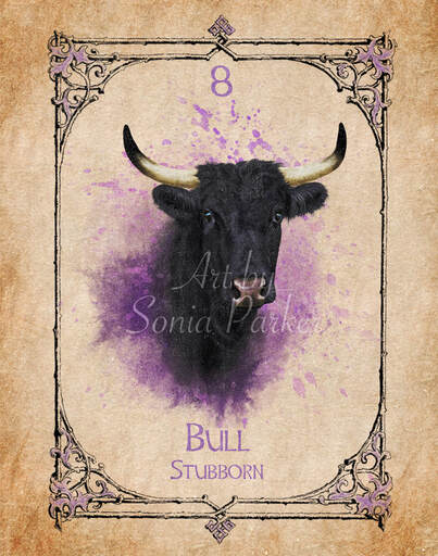 Swan, A card from the animal spirit oracle deck. The Spiritual Centre
