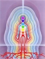 A human body shape surrounded by the varying auric fields, each one a different shade of lilac, Chakra's on display, roots extending down into the earth.