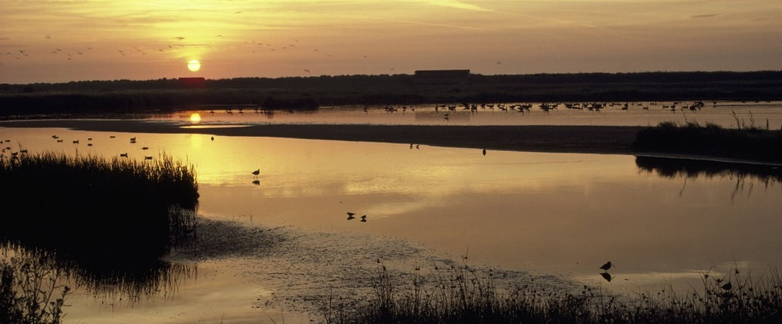 Marshland at sunset, a warm orange reflects across the sands bring a perfect sillouhette of black and orange.
