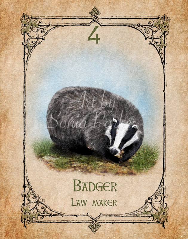 Badger, a card from the animal spirit oracle deck. The Spiritual Centre