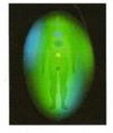 Bruce the Healer aura photo taken in 2012, the strength of the green portrays healing qualities present in the energy. Bruce Clifton, The Spiritual Centre.