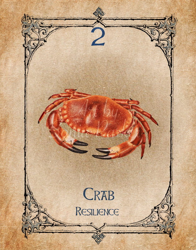 Crab, animal spirit guide, number 2 of the water set. Crab is all about resilience and balance being able to see beyond any hurdle and knowing how to overcome it. Duality = Night and Day, Masculine and Feminine, equilibrium. 