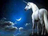 Unicorn standing on the edge of a rock looking across night sky at the moon