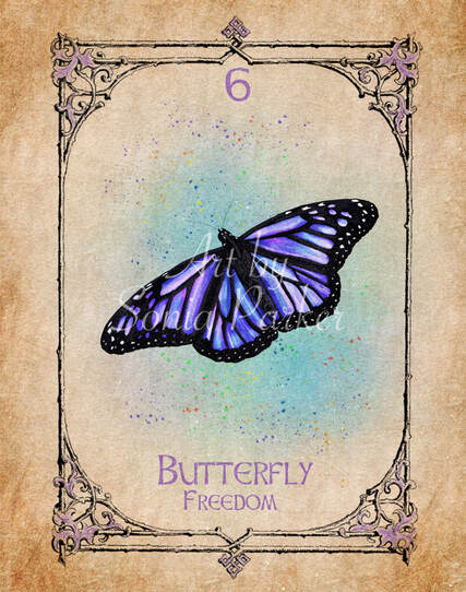 Butterfly, A card from the animal spirit oracle deck. The Spiritual Centre