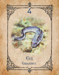 Eel, Animal Spirit Guide, Oracle Card, Eel number 2 of the Water set. The spiritual meaning of the eel is one of endurance and perseverence, the eel will only ever move forward.