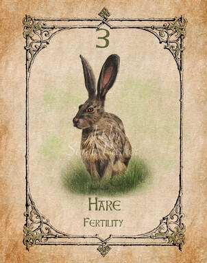 Hare, Animal Spirit Guide, Oracle Card, Hare number 3 of the Earth set. Hare is about fertility in all things, planting the seed from which all things grow.