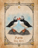 Puffin, Animal Spirit Guide, Oracle Card, Puffin number 6 of the air set. Two Puffins standing looking at eachother, bright orange beaks and legs against the black and white feathers.