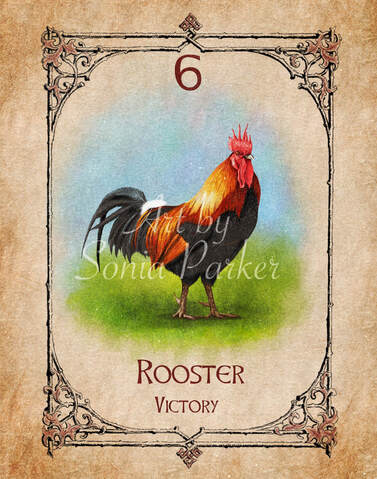 Rooster, a card from the animal spirit oracle deck. The Spiritual Centre