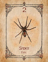 Spider, Spirit Animal Guide, Oracle Card, Spider number 2 of the Fire set. Spider is about  is about fate, fortune, destiny.