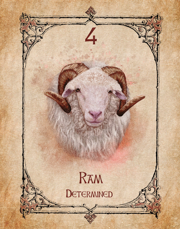 The white head of a Ram with two magnificent curved horns is looking directly at you, a proud soft smile, fatherly eyes and a look of steely, determined, protection.
Ram, Animal Spirit Guide, Oracle Card, Ram number 4 of the fire set.