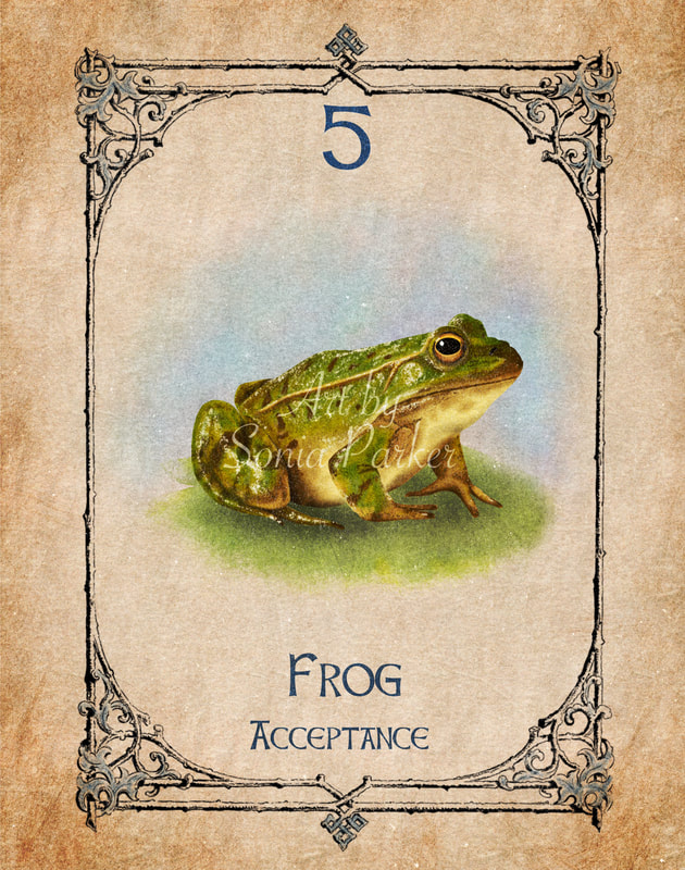 Frog, Animal Spirit Guide, Oracle Card, Frog number 5 of the Water set. Frog is sitting, content, accepting the day for what it is.