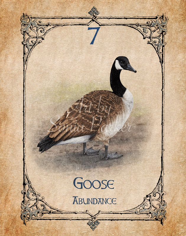 Goose, Animal Spirit Guide, Oracle Card, Goose number 7 of the Water set. With motherhood comes nesting, now is a time for nesting. Preparing the home and making changes for and in readiness for family life.