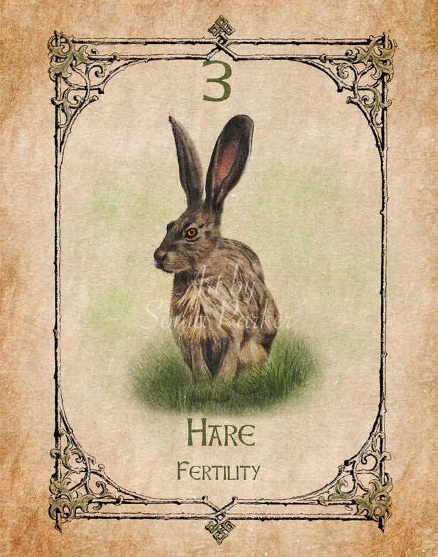 Hare, a card from the animal spirit oracle deck. The Spiritual Centre