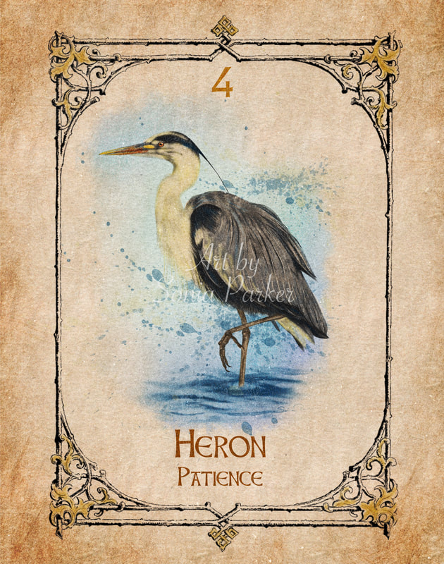Heron, Animal Spirit Guide, Oracle Card, Heron number 4 of the Air set. Heron is a wading bird, it walks the waters edge. The heron will stand poised and ready, waiting patiently for hours at a time