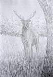 A solitary stag, standing bold and looking at you next to a tree in a meadow.