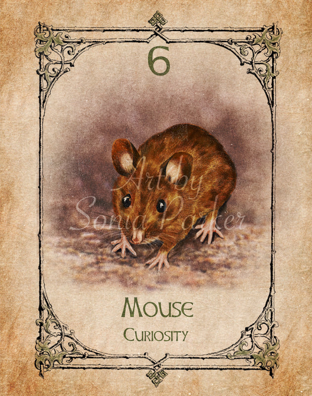 Mouse Animal Spirit Guide Oracle card Mouse number 6 Earth Set. A small brown doormouse nibbling at food held in his tiny paws.