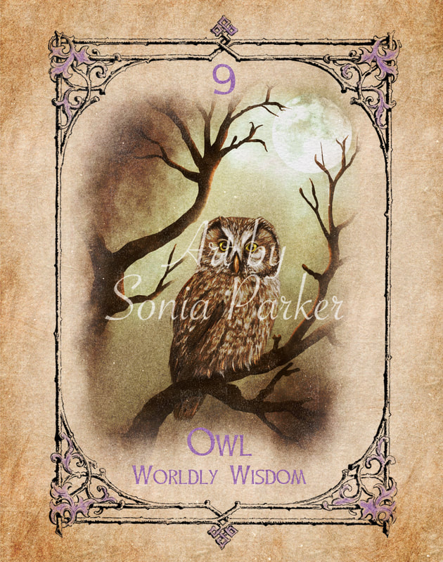 Owl sitting in an Oak tree, mists glowing in the moonlight, Owl is look driectly at you. Owl Animal Spirit Guide Oracle Card 9 Spirit Set.