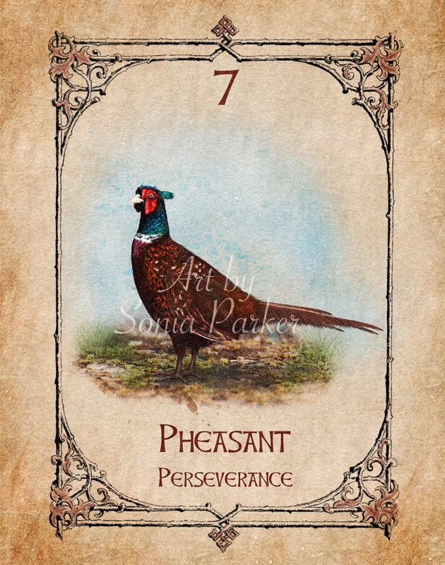 Pheasant, a card from the animal spirit oracle deck. The Spiritual Centre