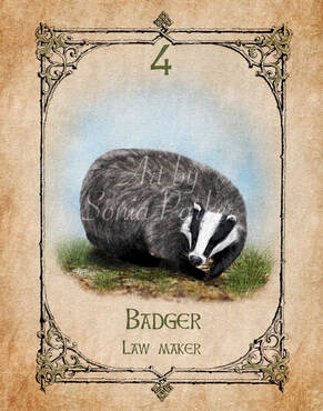 Badger, Animal Spirit Guide, Oracle Card, Badger number 4 of the Earth set. Badger in full winter coat, deep dark, grey coat with black and white stripey head. Walking across grass, blue misty background.
