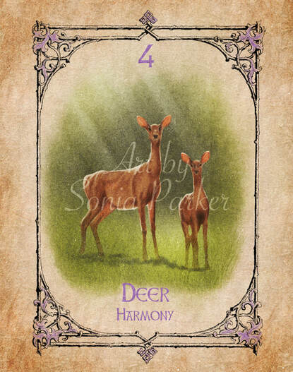 Deer, A card from the animal spirit oracle deck. The Spiritual Centre
