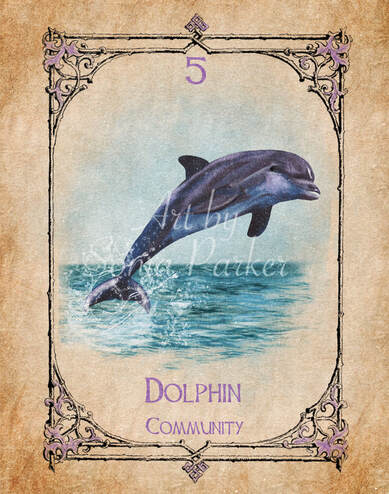 Dolphin, A card from the animal spirit oracle deck. The Spiritual Centre
