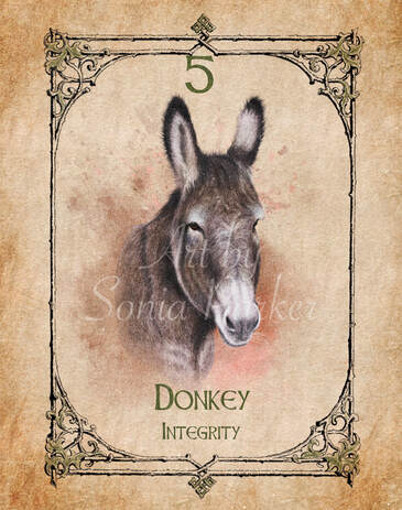 Donkey, a card from the animal spirit oracle deck. The Spiritual Centre