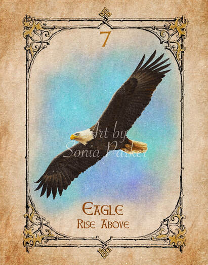 Eagle, Animal Spirit Guide, Oracle Card, Frog number 7 of the Air set. Eagle is a survivor, it cares not for it's reputation, it has no ego.