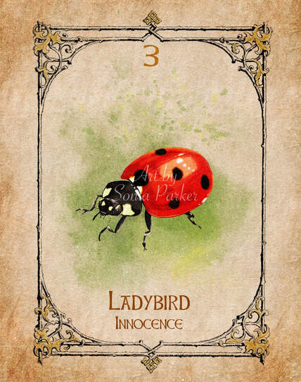 PictLadybird, Animal Spirit Guide, Oracle Card, Ladybird number 3 of the air set. Ladybird is about Innocence, Neutrality, Mind, Body, Spirit as one.ure