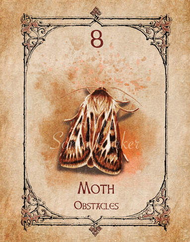 Moth, a card from the animal spirit oracle deck. The Spiritual Centre