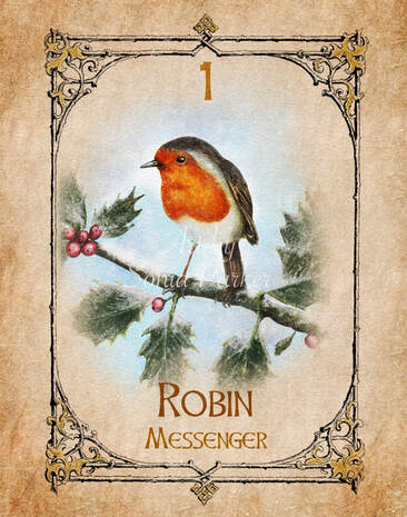 Robin, Animal Spirit Guide, Oracle Card, Robin number 1 of the air set. Robin sitting on a Holly Branch with berries and covered in a dusting of sparkly snow