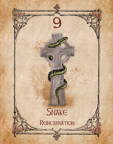 Snake, a card from the animal spirit oracle deck. The Spiritual Centre