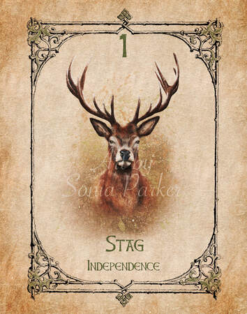 Stag, a card from the animal spirit oracle deck Authors: Bruce Clifton, Sonia Parker