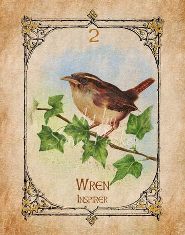 Robin a card from the animal spirit oracle deck. The Spiritual Centre