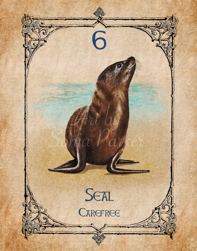 Seal, Animal Spirit Guide, Oracle Card, Seal number 6 of the Water set. Seal walking on a beach with the sea behind him.