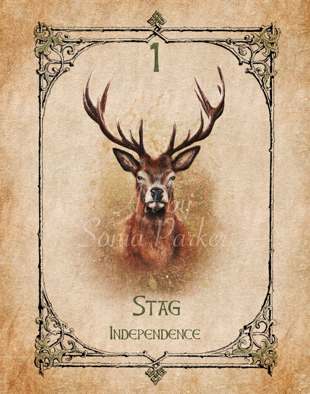 Stag Animal Spirit Guide, Oracle Card, stag number 1 Earth set.  Stag is looking directly at you, with 14 point antlers he is mature of many years.