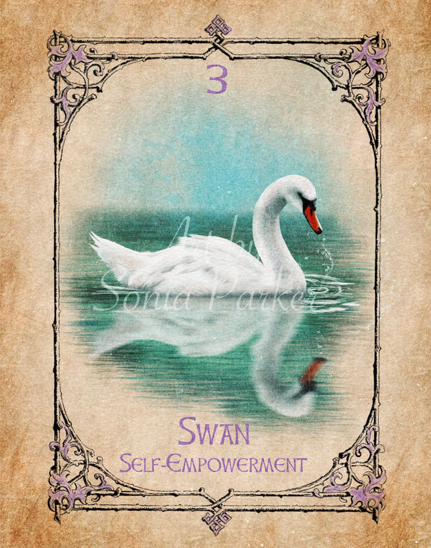 Swan, Animal Spirit Guide, Oracle Card, Swan number 3 of the Spirit set. A Graceful swan on a lake with the perfect reflection on the water