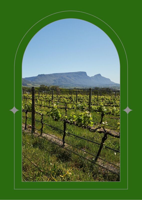 A vinyard stretching out to the mountains in the distance on a beautiful spring day. Seen through a green arched window