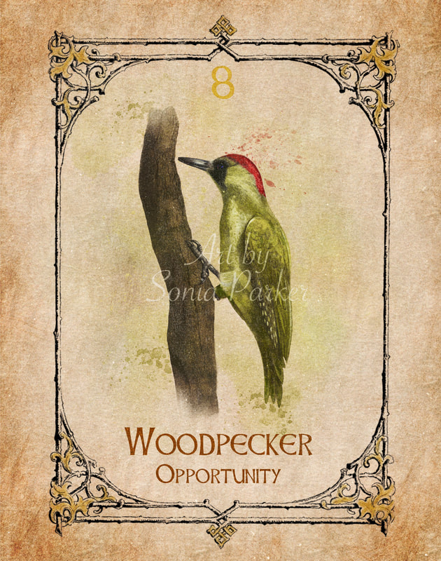 Woodpecker, Animal Spirit Guide, Oracle Card, Woodpecker number 8 of the Earth set. Woodpecker is a natural healer, the sound it makes is in harmony with the natural rythm of the Earth. 